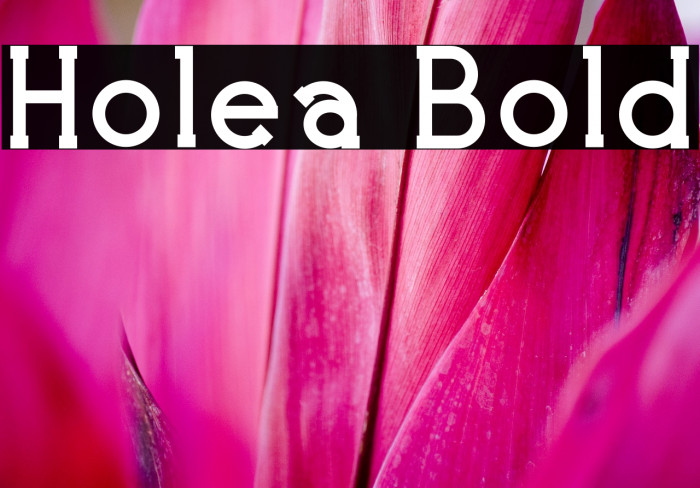 Holea Bold Font examples