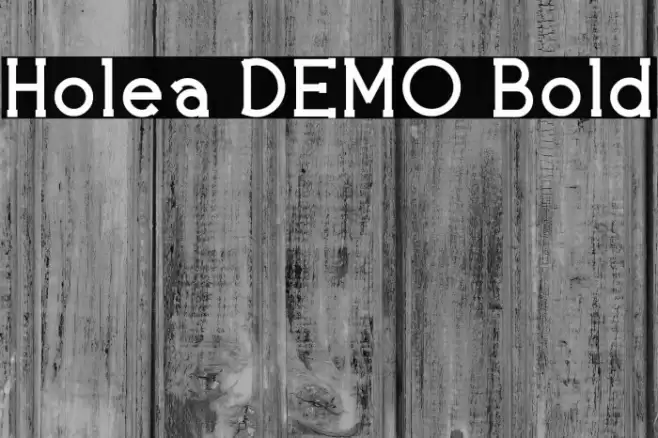 Holea DEMO Bold Font examples
