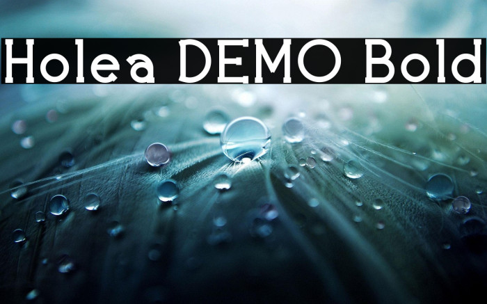 Holea DEMO Bold Example 2