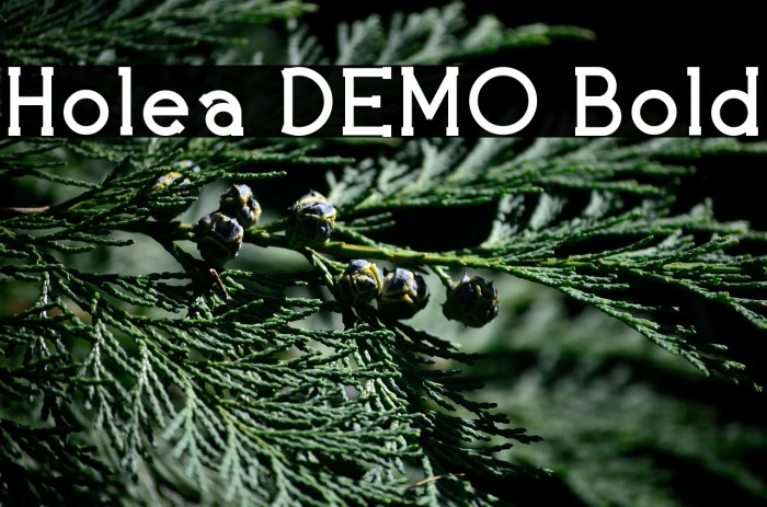 Holea DEMO Bold Example 3
