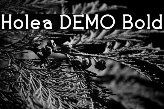 Holea DEMO Bold Font examples