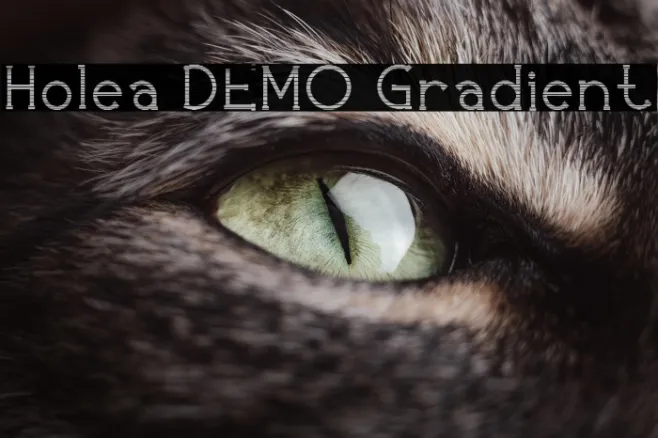 Holea DEMO Gradient Example 3