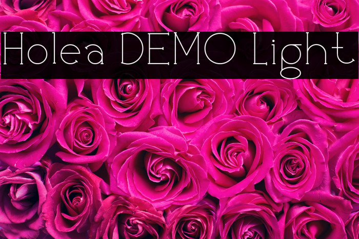 Holea DEMO Light Example 1