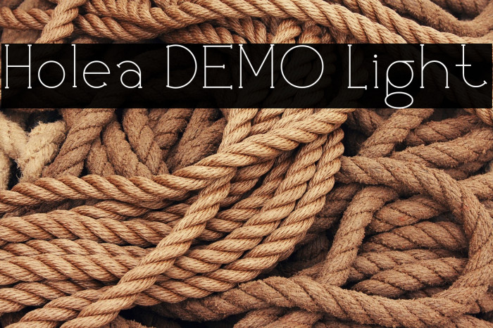 Holea DEMO Light Example 2