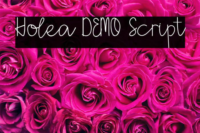 Holea DEMO Script Example 2