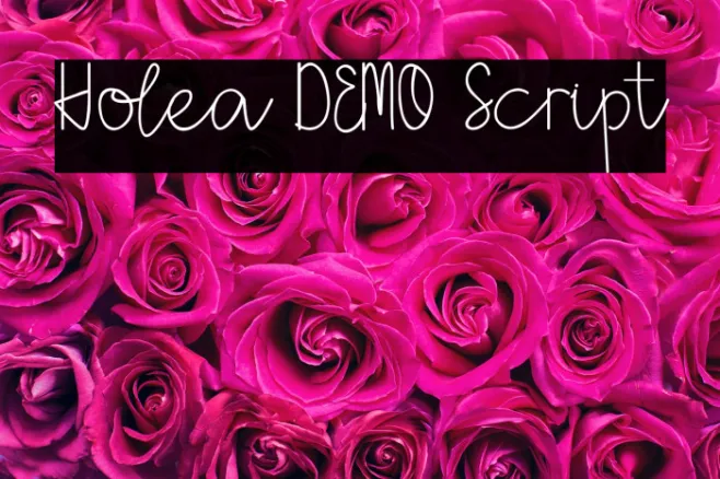 Holea DEMO Script Example 2