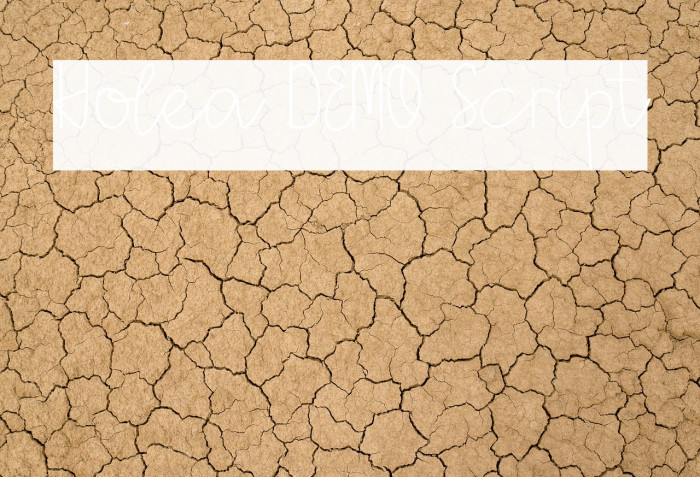 Holea DEMO Script Example 3