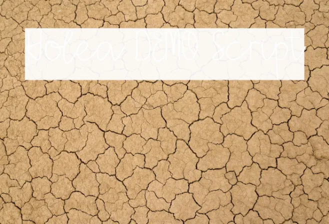 Holea DEMO Script Example 3