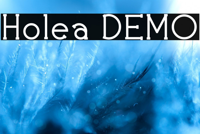 Holea DEMO Example 1
