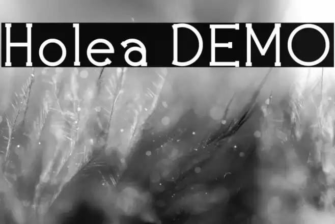Holea DEMO Font examples