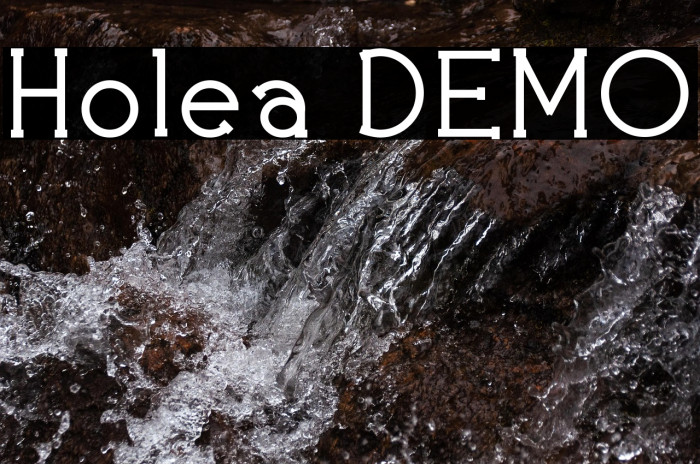 Holea DEMO Example 2