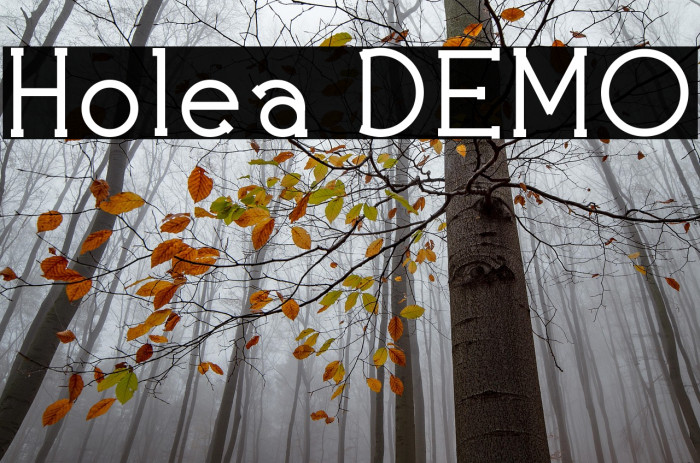 Holea DEMO Example 3