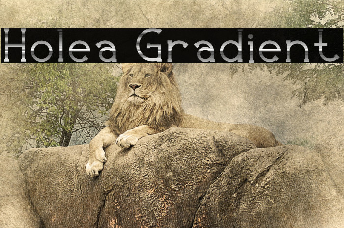 Holea Gradient Font examples