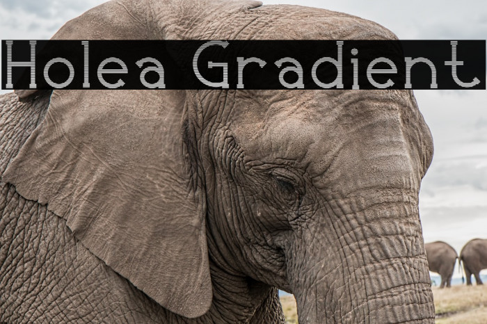 Holea Gradient Font examples