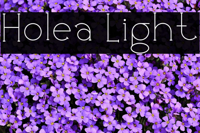 Holea Light Font examples