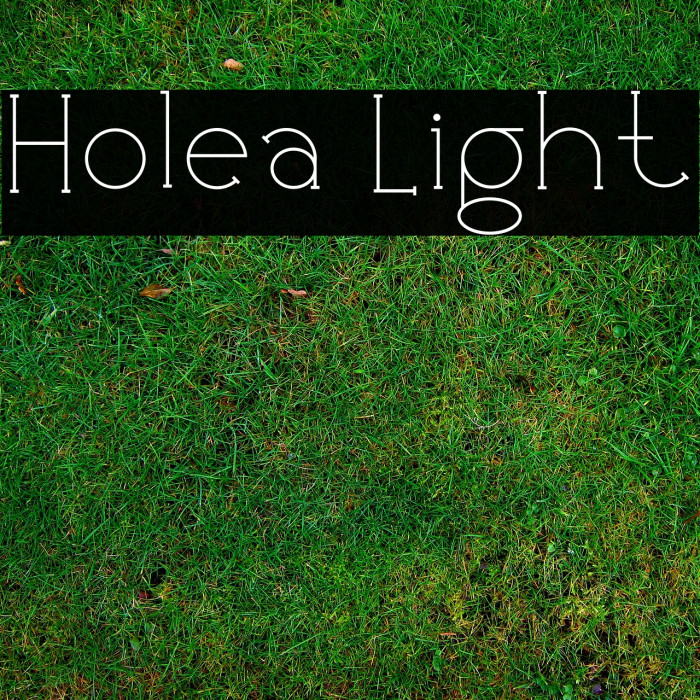 Holea Light Font examples
