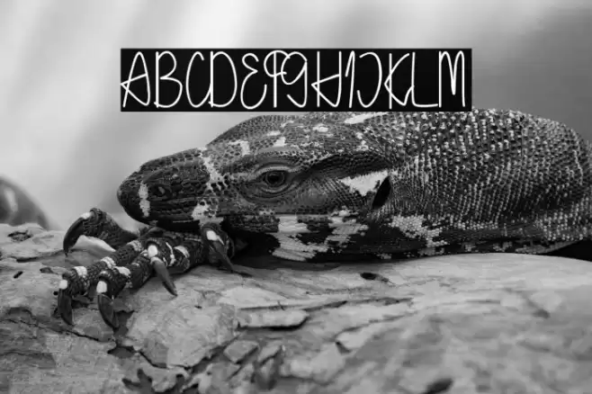 Holea Script Font examples