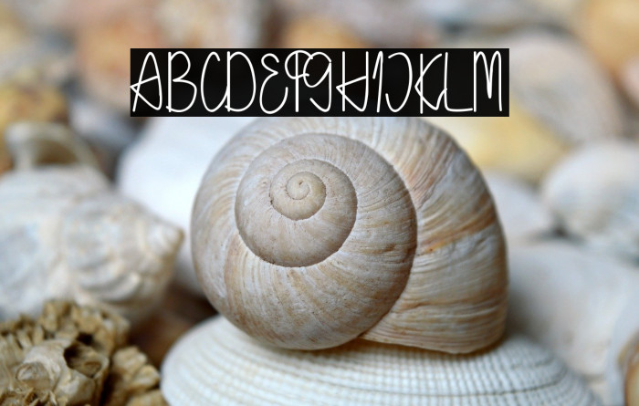 Holea Script Example 2