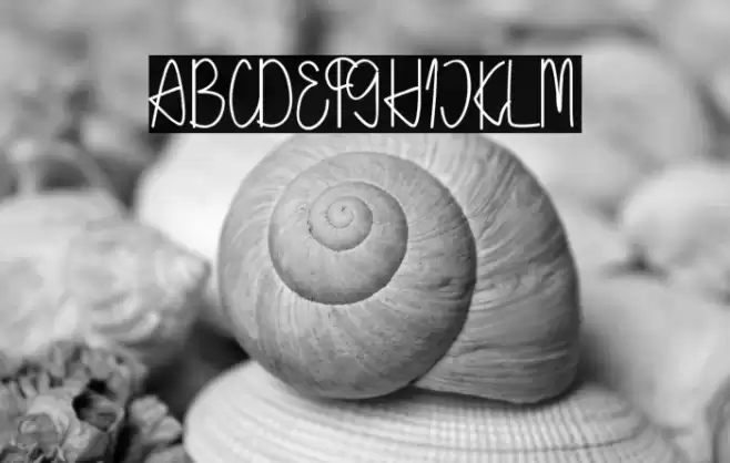 Holea Script Font examples