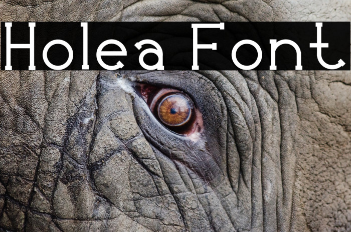 Holea Font examples