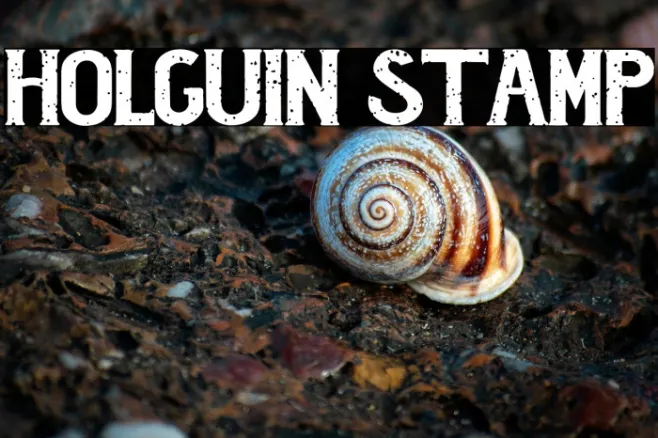 Holguin Stamp Example 1