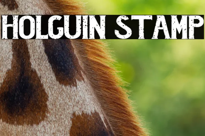 Holguin Stamp Example 3