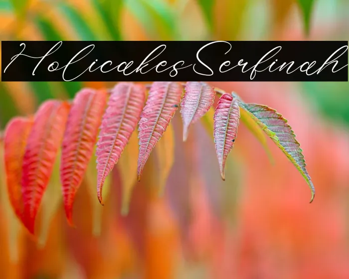 Holicakes Serfinah Example 1