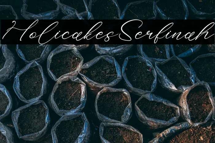 Holicakes Serfinah Example 2