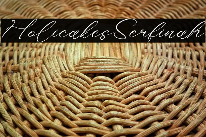 Holicakes Serfinah Example 3