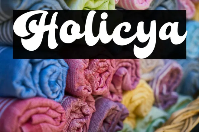 Holicya Example 1