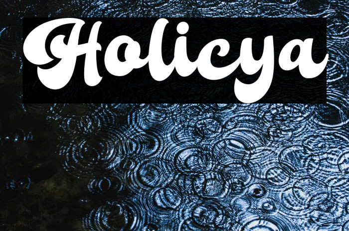 Holicya Example 2
