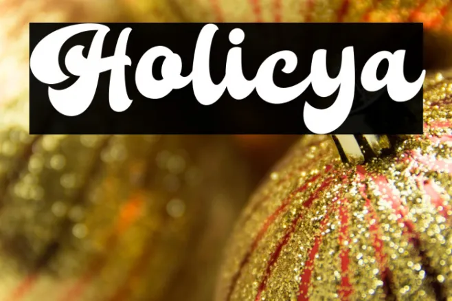 Holicya Example 3