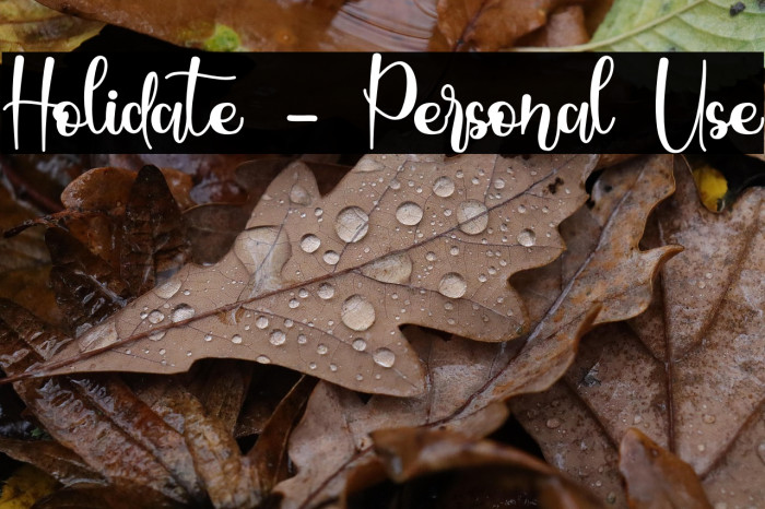 Holidate - Personal Use Example 1