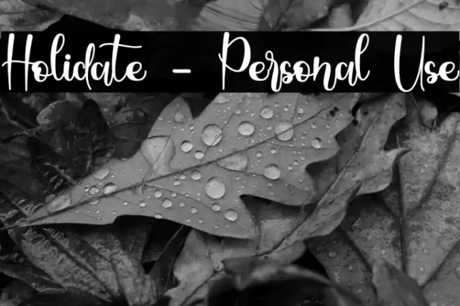 Holidate - Personal Use Font examples