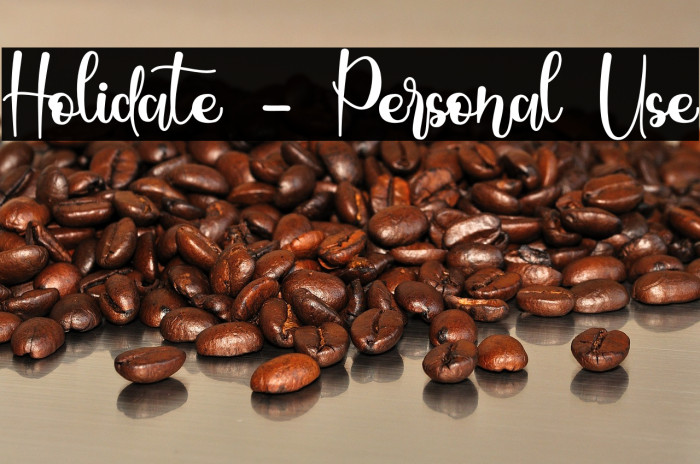 Holidate - Personal Use Example 2