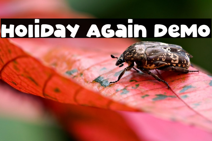 Holiday Again Demo Example 3