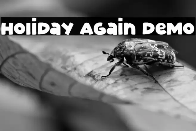 Holiday Again Demo Font examples