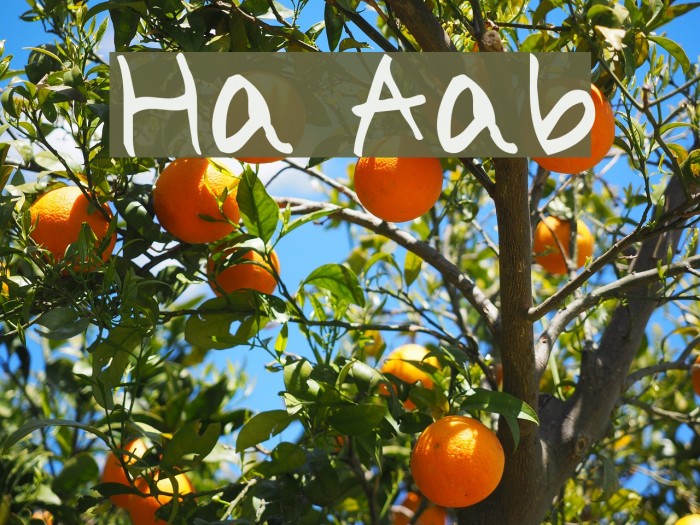 Holiday Alphabe Example 1