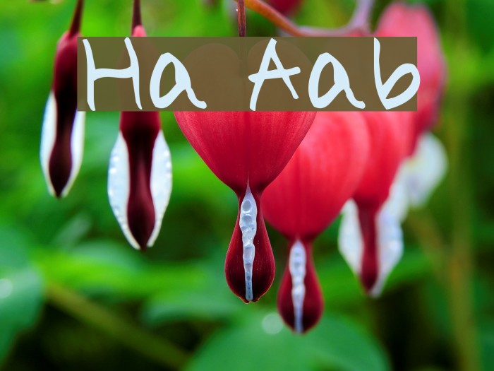 Holiday Alphabe Example 2