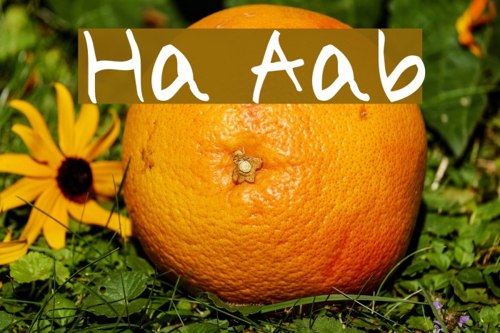 Holiday Alphabe Example 3