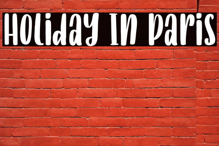 Holiday In Paris Example 2