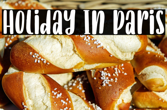 Holiday In Paris Example 3