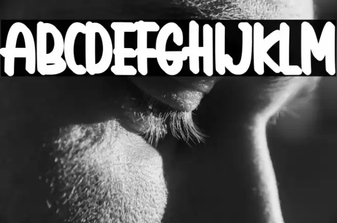 Holiday Island Extruded Font examples