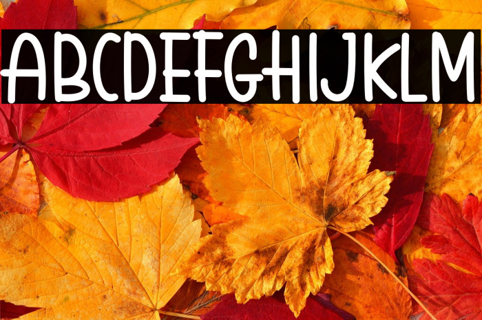 Holiday Island Example 3