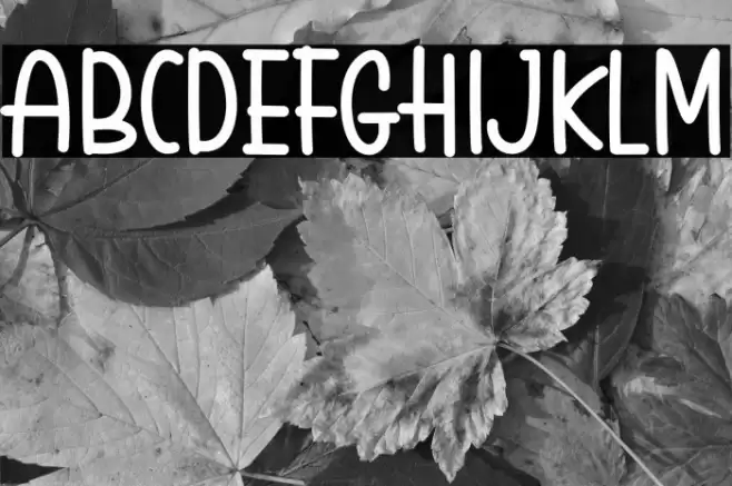 Holiday Island Caratteri examples