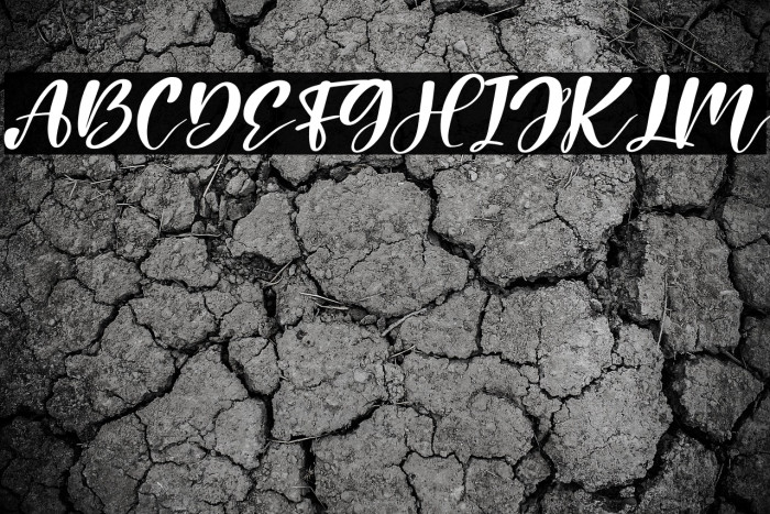 Holiday Italic Example 1