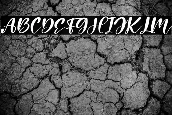 Holiday Italic Font examples