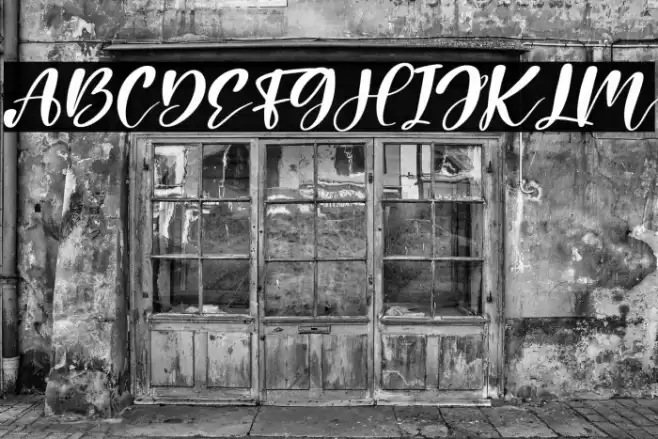 Holiday Italic Font examples