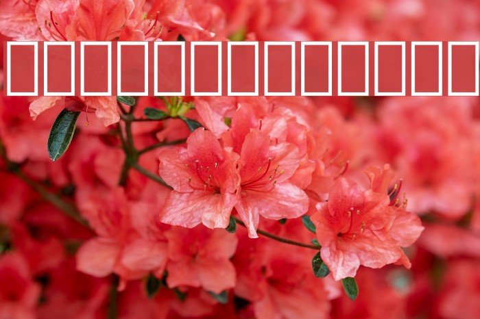 Holiday Pi BT Example 2