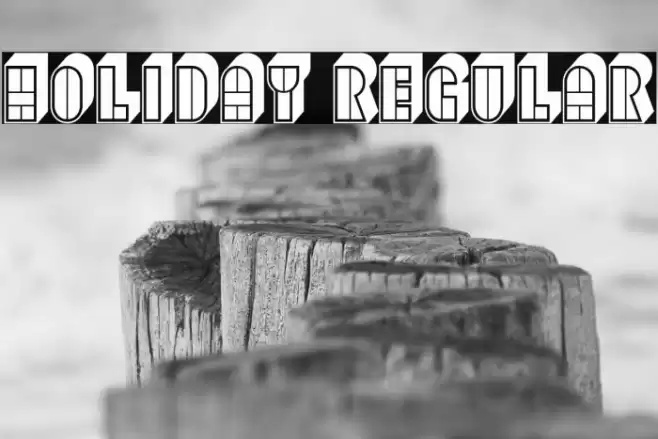 Holiday Regular Font examples